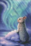 (image for) Aurora Bunny